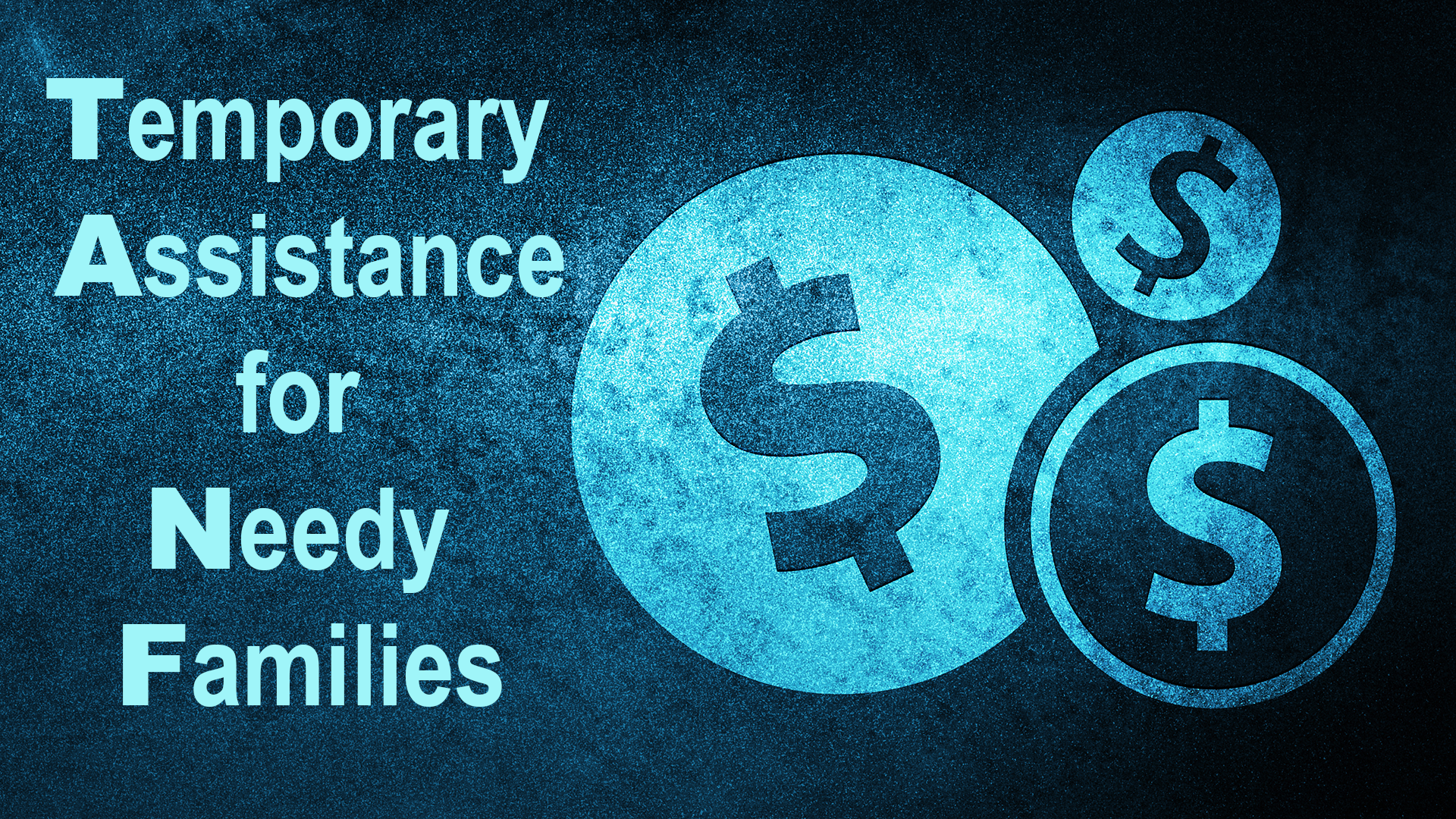 Image for Temporary Assistance for Needy Families